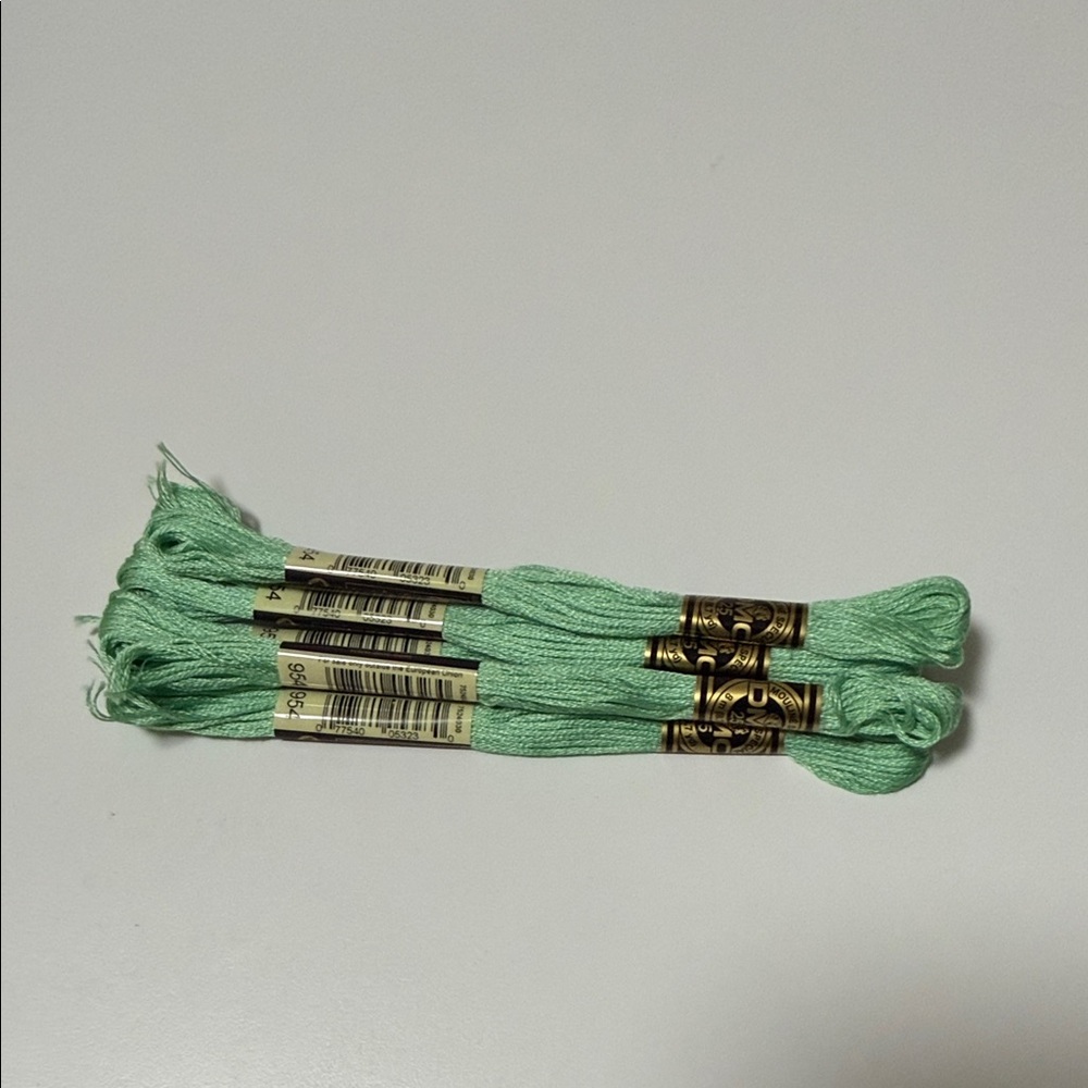 6 DMC (color 954) Mint Green Embroidery Floss